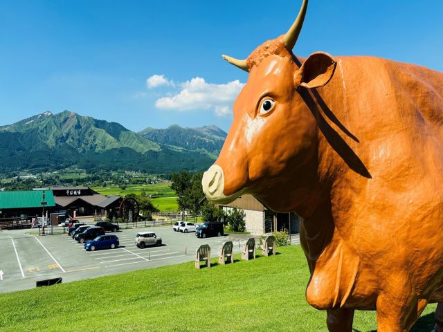 阿蘇は自然もたくさん！休日は観光も楽しんでくださいね。