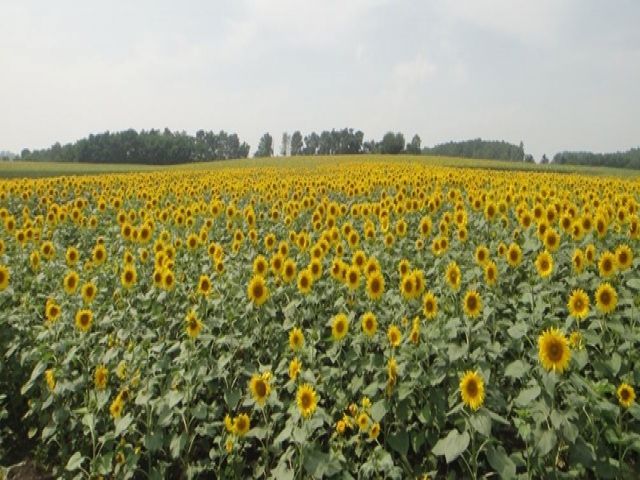 Uターンでのお仕事も検討してみてください