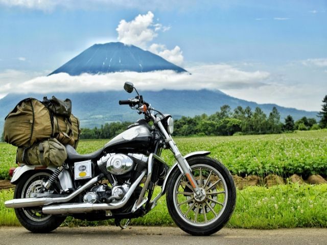 観光にもおススメ！