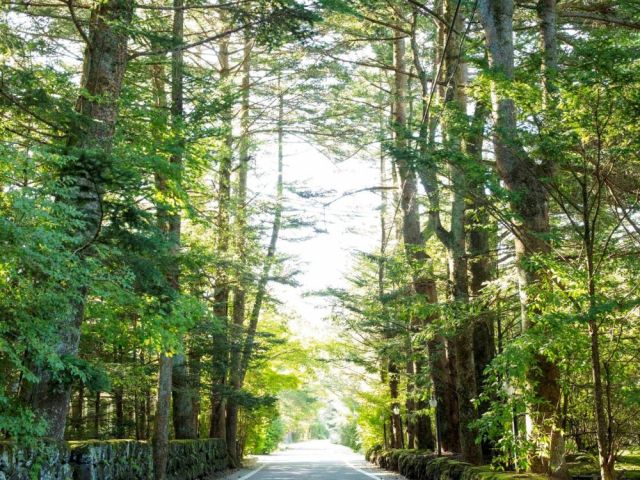 GWから夏にかけて避暑地での勤務楽しんでください！