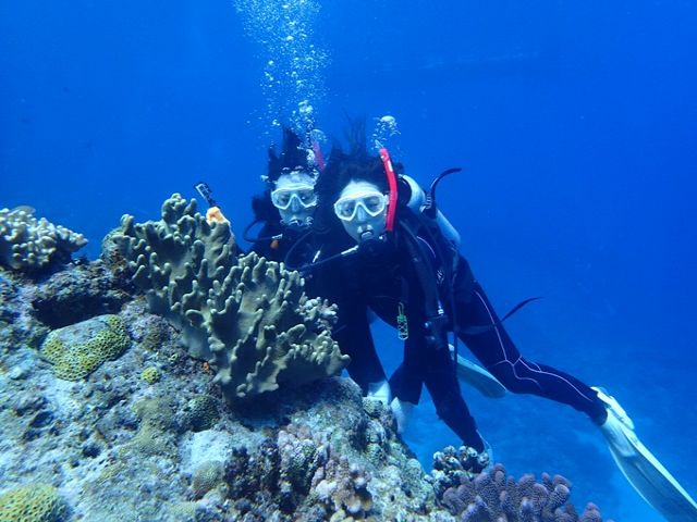 ダイビングは泳ぎが苦手でもできるマリンスポーツです♪