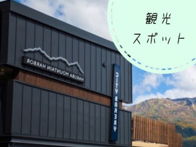 オシャレな観光スポットがあるのも白馬の魅力！このシーズンしか味わえない景色が見られるかも