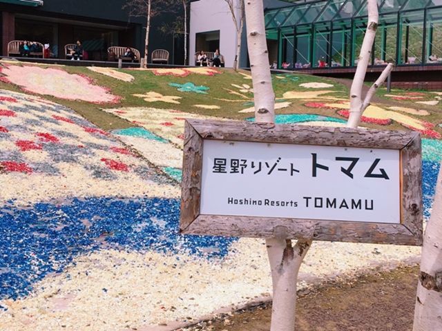 研修も充実しているため未経験でも受け入れOK！