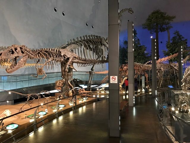 恐竜の町を散策しよう♪