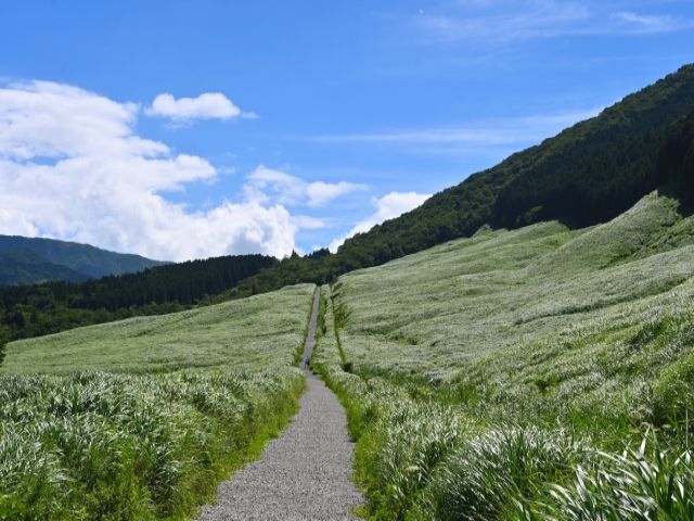 1,620円の高時給求人！客室総数20室！2026年オープンの高級ヴィラでの裏方清掃業務！