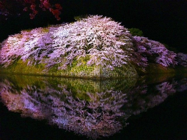 歴史ある城下町で観光も楽しめる！