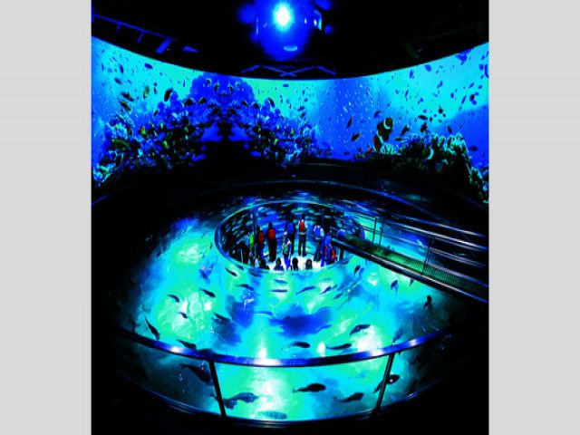 近くには水族館もございます！！