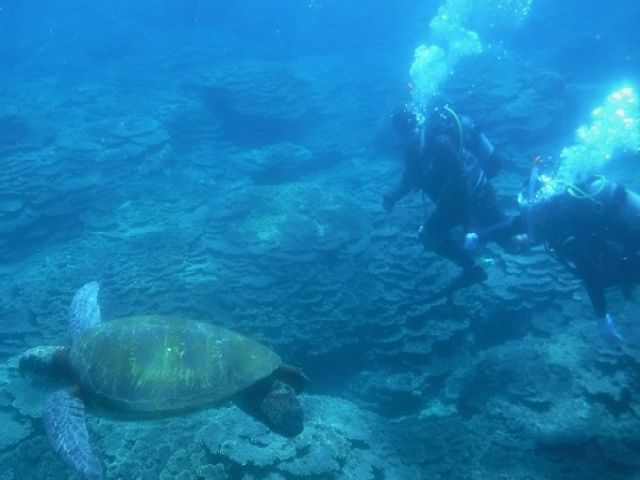 羽田空港より飛行機で55分！東京の離島で非日常を体験してくださいね！