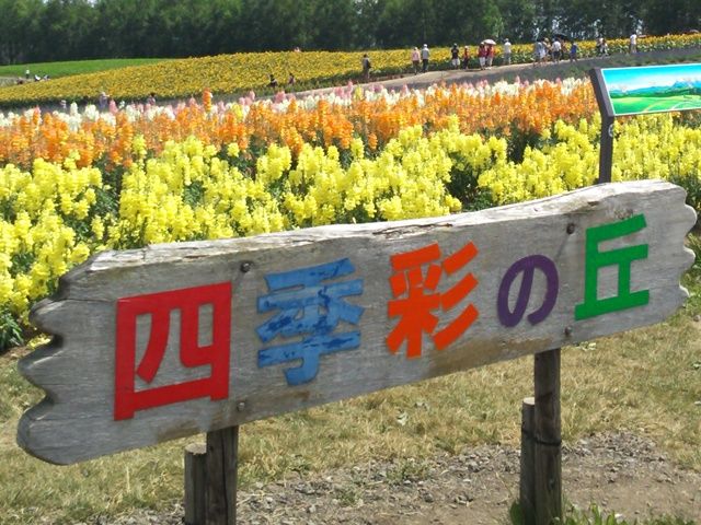 お休みの日は観光地へお出かけはいかがですか＾＾