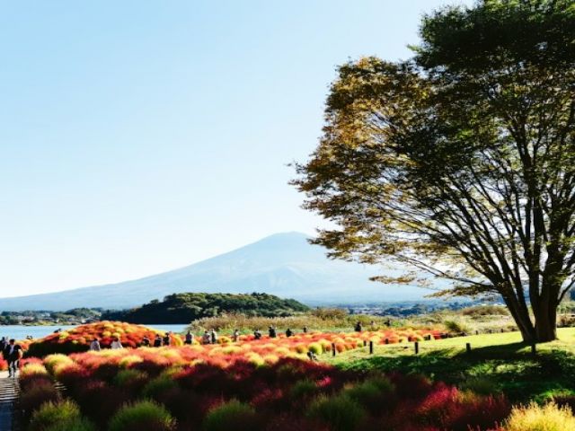 四季折々の河口湖を是非ご堪能くださいませ