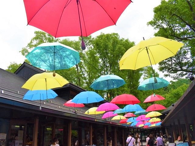軽井沢の観光地も行けますよ！！
