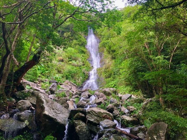 海だけではなく、緑豊かな表情もあるんです。