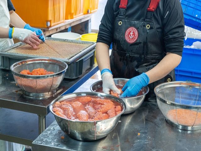 飲食店の他、水産加工をお任せします！