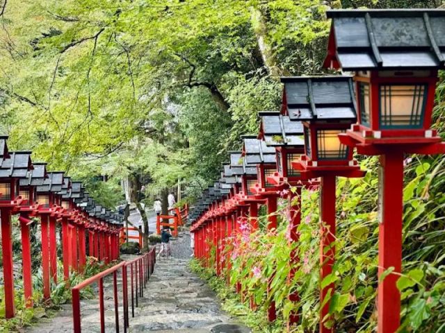 有名な「貴船神社」です！インスタ映えスポットですよ♪