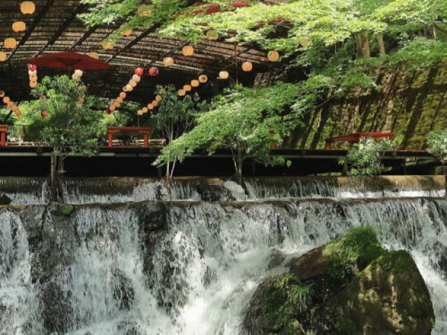 川辺は涼しいですよ！