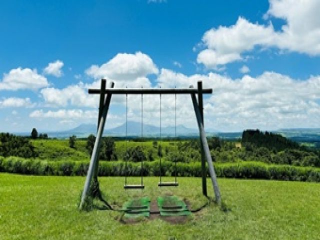 写真映えするスポットもおおいですよ！