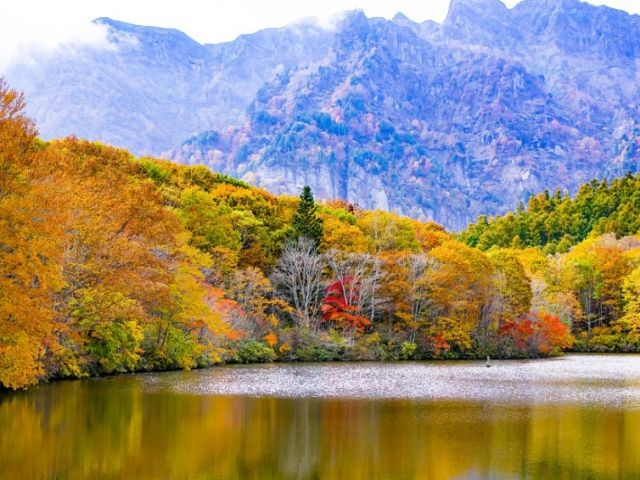 エアコン要らずで涼しい夏や、秋の紅葉、豊かな温泉など、魅力満点のエリアです