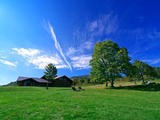 焼額山夏は最高です！！冬はスキー場になります♪