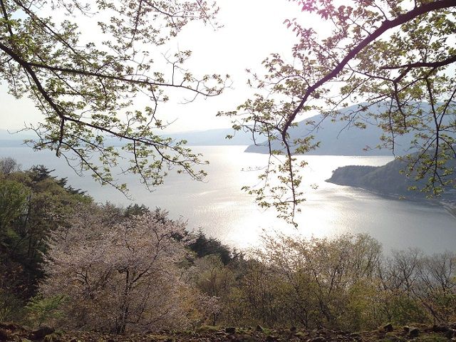 ゆったりとした時間が流れます