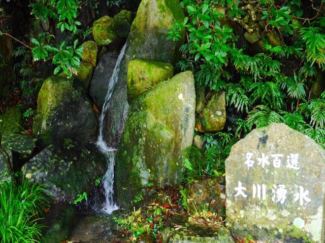 自然がいっぱい！
緑に癒されませんか？