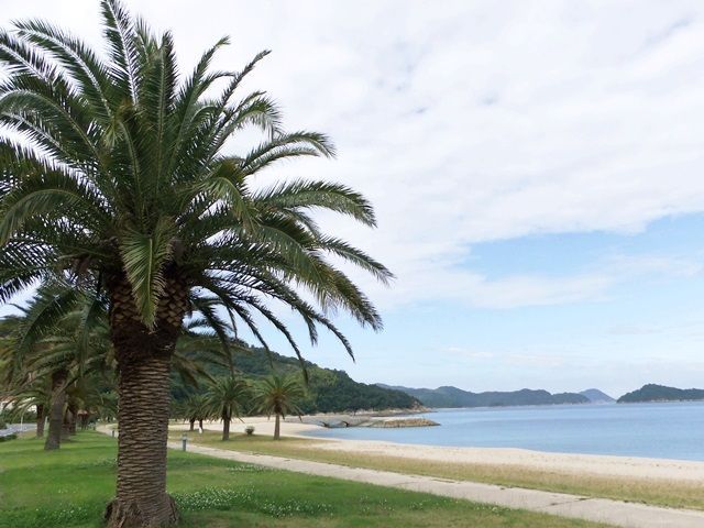 波が穏やかでビーチ遊びも安心！透明度がたかく、魚が泳ぐ姿も見れますよ～！