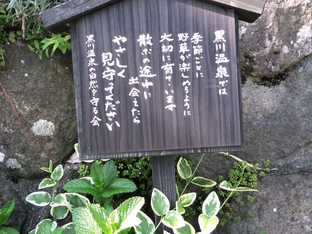 しっとり、ゆったりとした時間をここで。