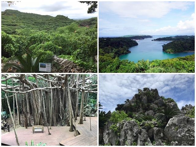 沖縄本島北部やんばる地域にあるリゾートホテルです！沖縄北部の魅力を感じれますよ！