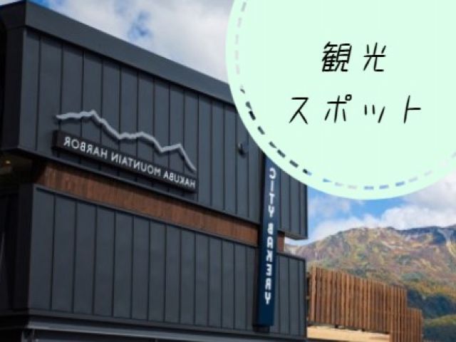 オシャレな観光スポットがあるのも白馬の魅力！このシーズンしか味わえない景色が見られるかも