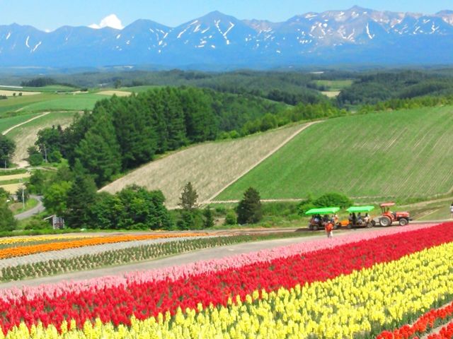 北海道随一の観光地・富良野エリアは魅力満点ですよ(^^)/