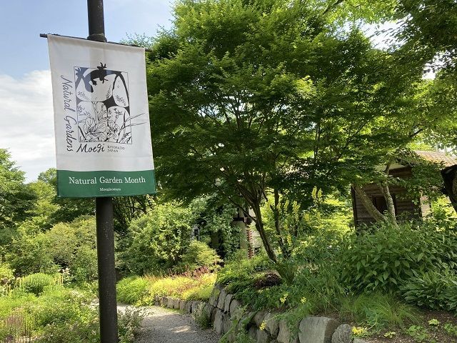 緑に囲まれて心も体もリフレッシュ♪