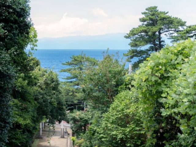 高速ジェット船で1時間45分で非日常が待っています