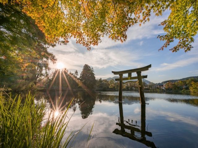 大人気エリアの湯布院でのお仕事です！