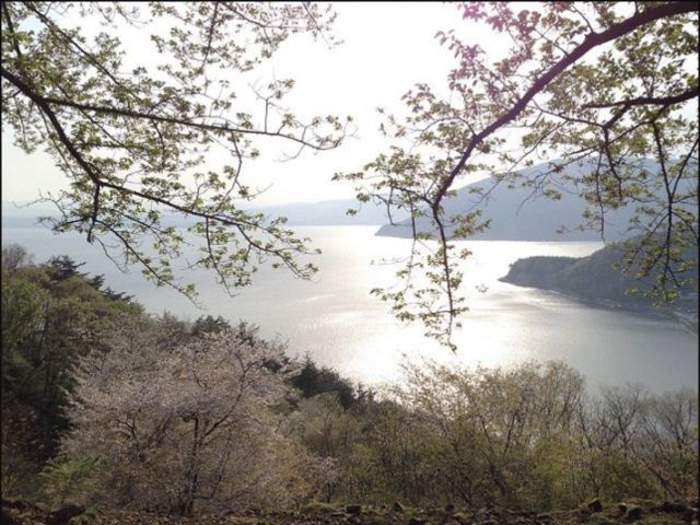 ゆったりとした時間が流れます