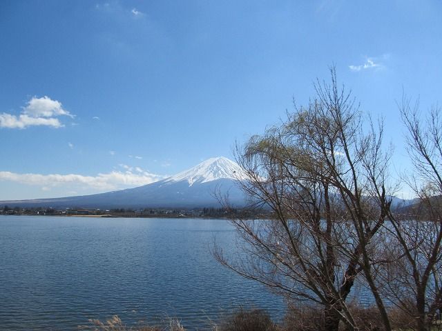 富士山を眺めながら毎日過ごせます★