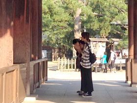 縁結びの神様・出雲大社！是非行っていただきたい観光スポット☆本殿は国宝に指定されています。