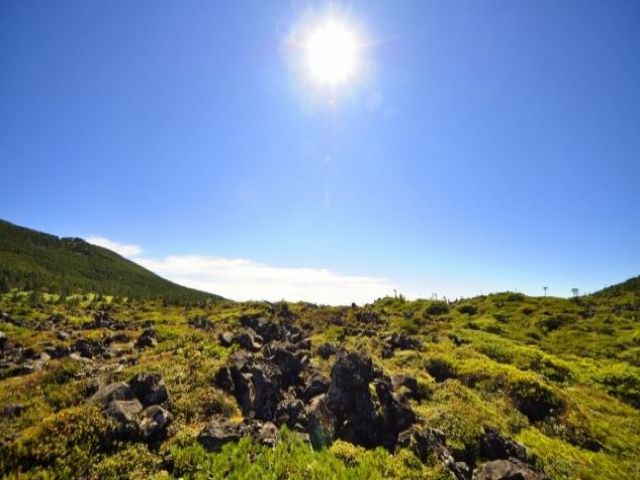 景色が良く写真映え！雲海も見れるチャンスはこのエリアです！