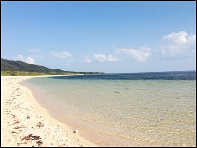 空、海、緑。美しい景色が見放題！