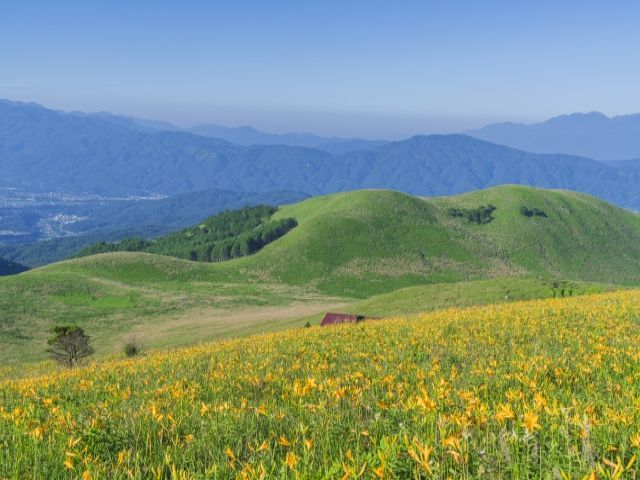 蓼科高原で気持ちの良い風を浴びれる春からのお仕事です★