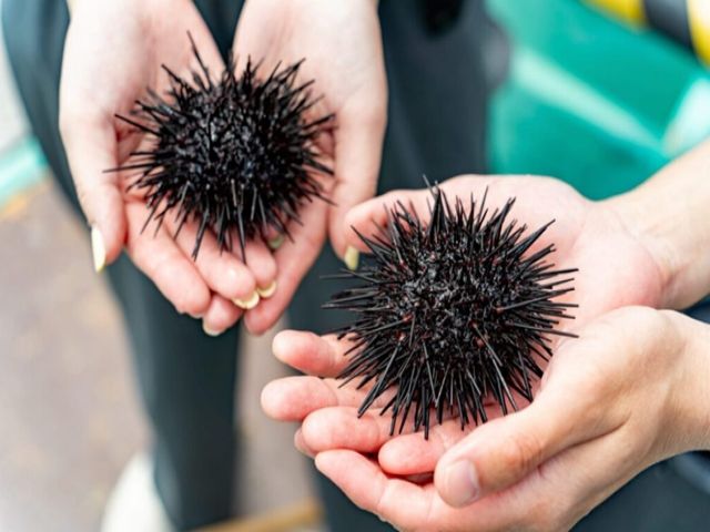 【小樽】完全個室の綺麗な寮で勤務できる方、募集中です！