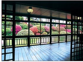 中庭は春夏秋冬様々な姿を見せます☆