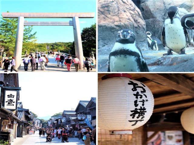 休日は観光三昧間違いなしです！