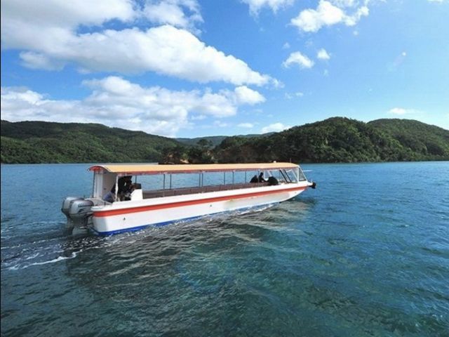 西表島までは、石垣島からビュンっと船で40分♪豊かな自然を満喫しよう！