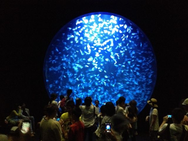 クラゲ世界一の『加茂水族館』にも行ってみて下さいね