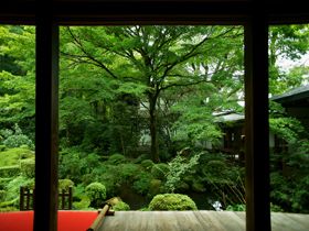 有形文化財にも登録される、歴史ある旅館です♪