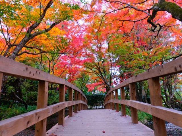 由布院での新着求人です♪出会いもたくさん☆お勧めです！！
