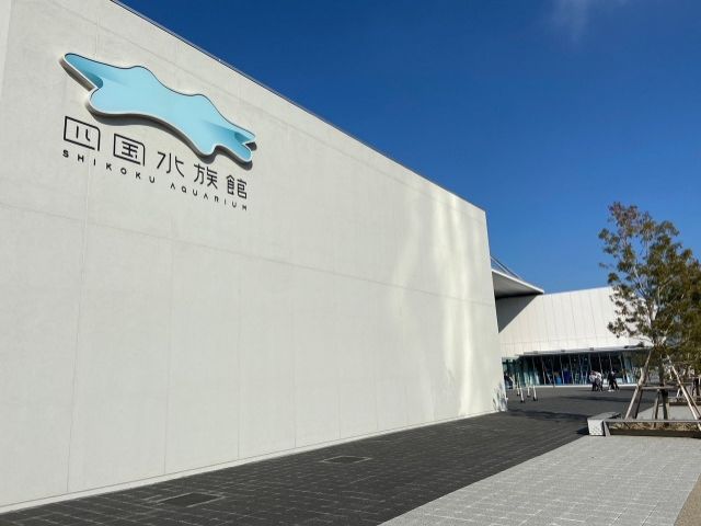 周辺はお洒落なカフェ、売店、コンビニなど。生活便利です。担当おすすめは四国水族館！