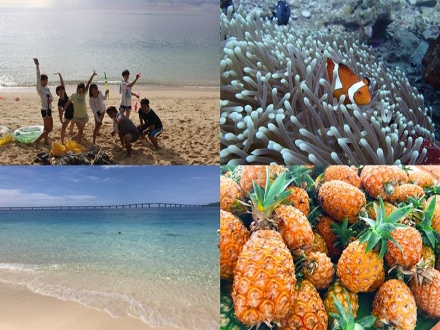 サンゴと熱帯魚がすぐ見ることができます！