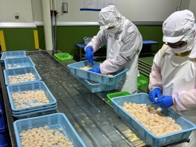 【職場】ホタテの加工場★日中の通しシフトで安定稼働♪