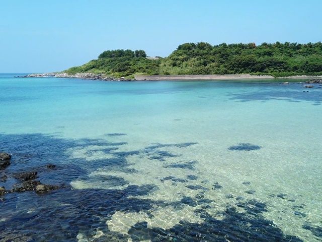 ただただ美しい海。マリンレジャー、釣りが楽します。