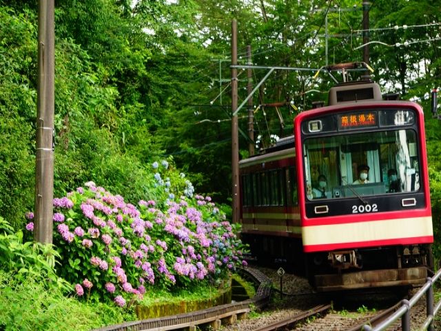 休日は登山鉄道でお出かけしましょう！
